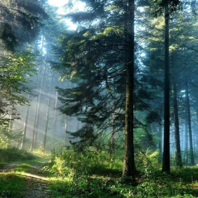 1920 x 1080 HD Wallpapers 1807